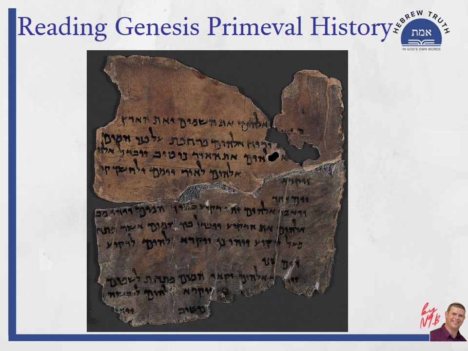 Reading Genesis Primeval History